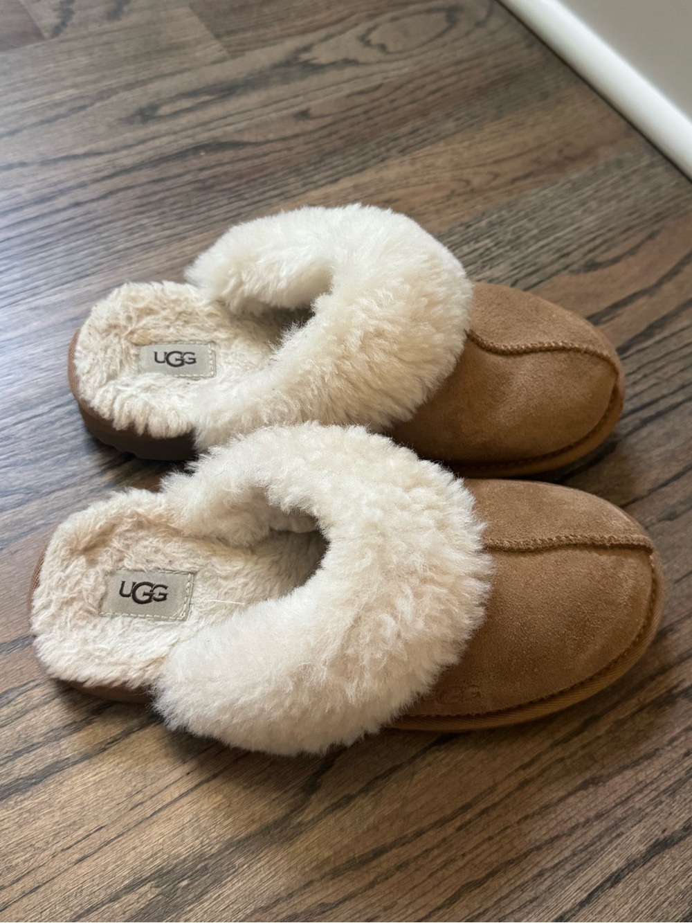 UGG Slippers! - Picture 6 of 7